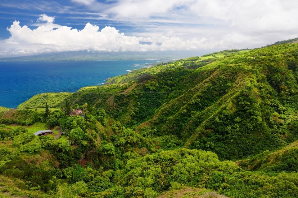 aloha-hawai-kahului-2