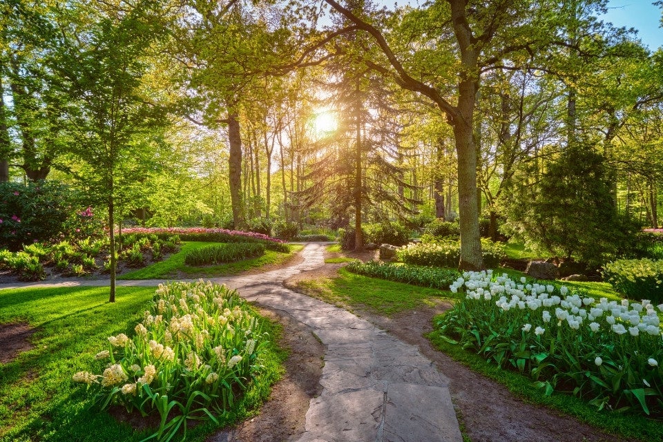 hollande-et-pays-scandinaves-jardins-de-keukenhof