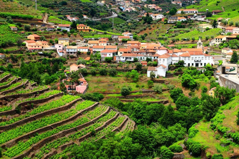 le-gout-du-nord-du-portugal-regua