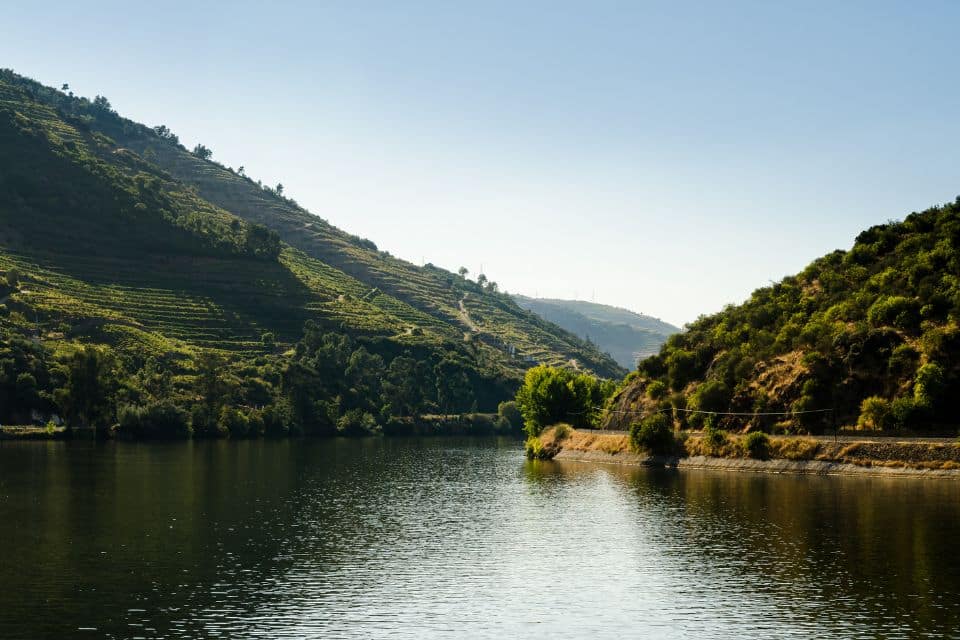 le-gout-du-nord-du-portugal-vallee-du-douro