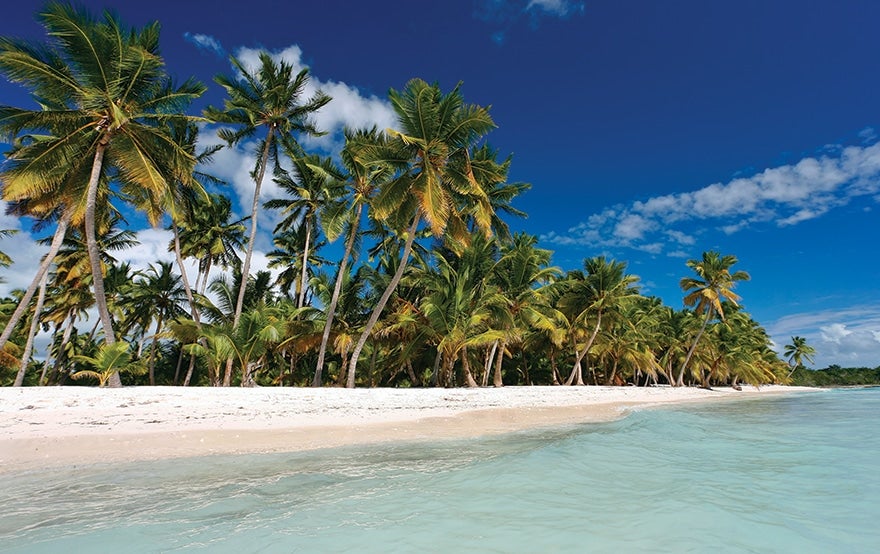 Saona