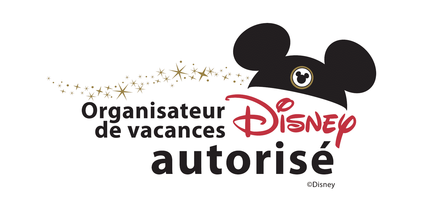 organisateur-de-vacances-disney-autorise-png