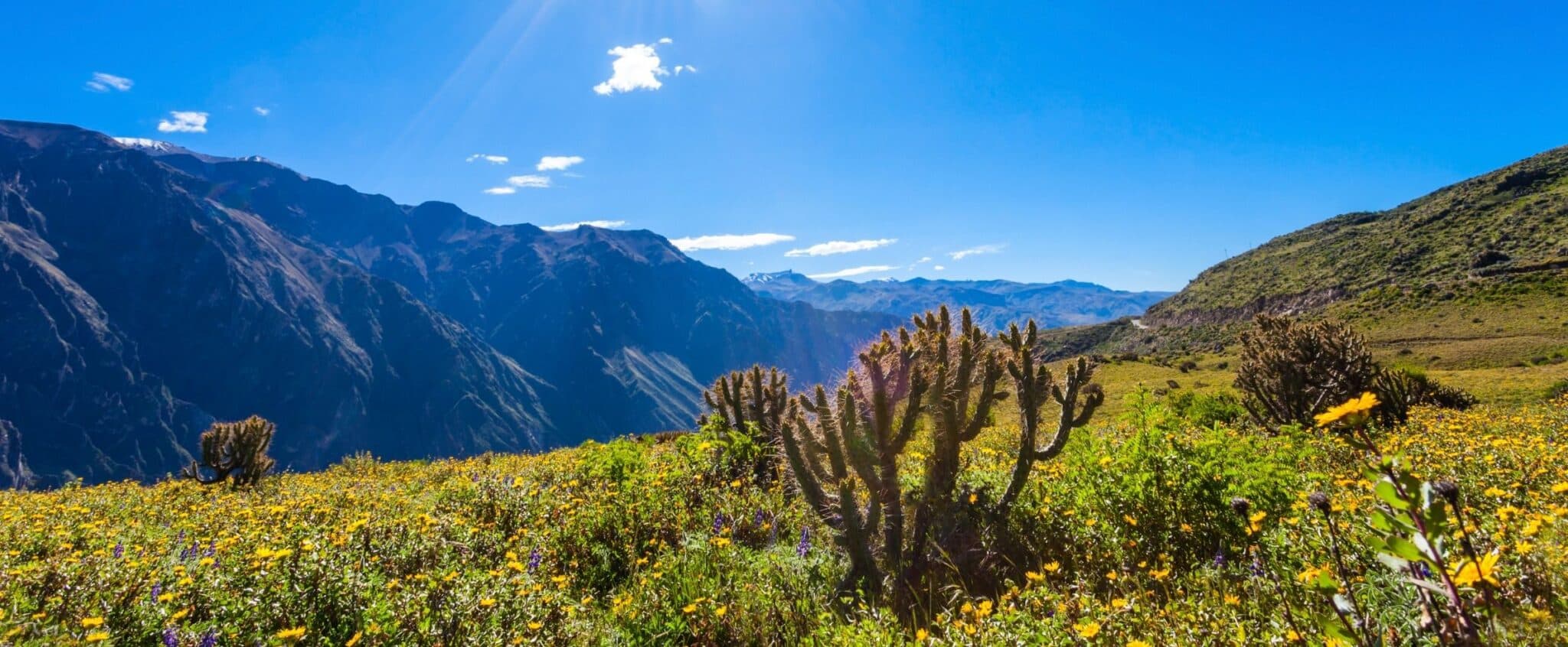 la-route-des-andes-header