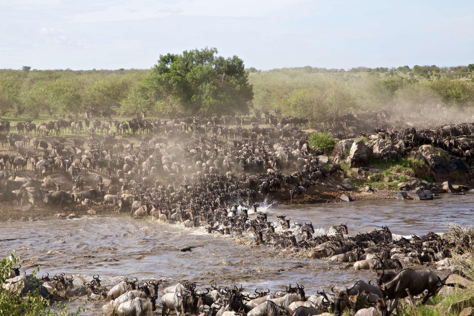 safari-afrique-de-lest-andbeyond-kenya-1