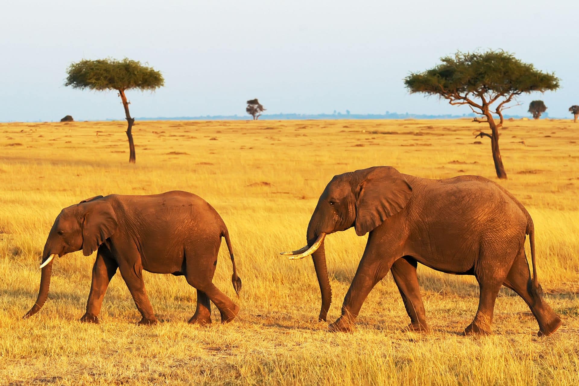 safari-beyond-kenya-masai-mara-2