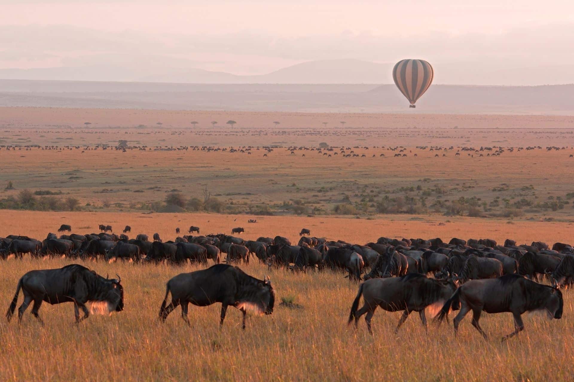 safari-beyond-kenya-masai-mara