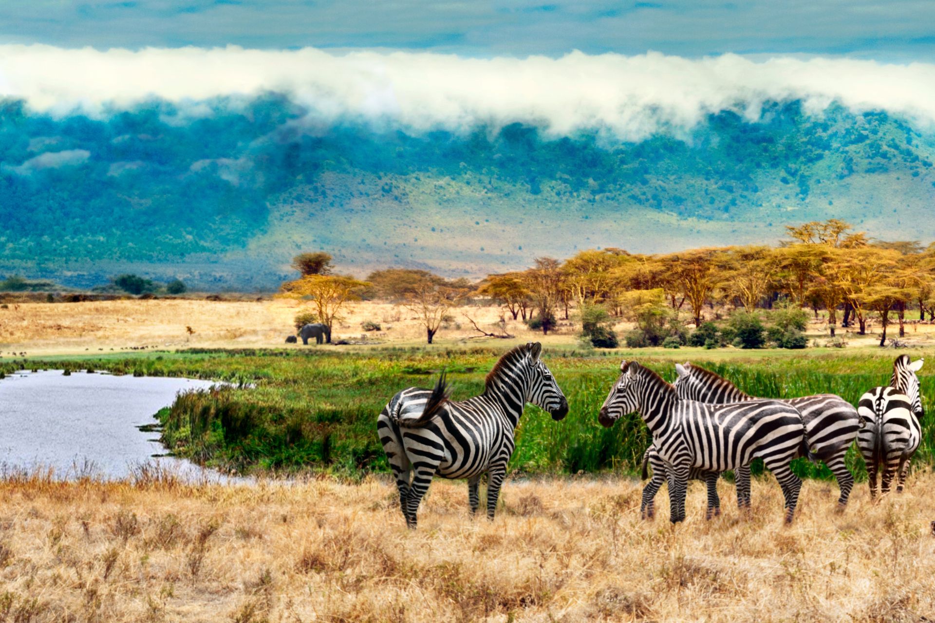 safari-beyond-kenya-ngorongoro-2