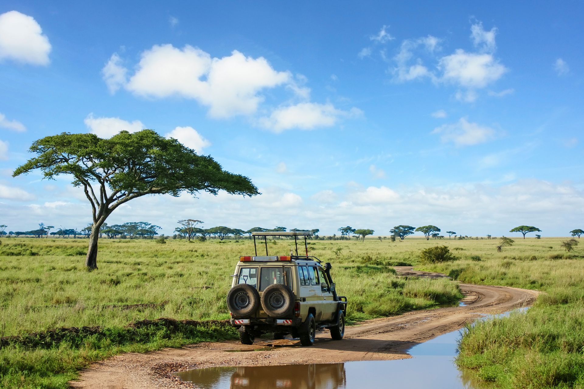 safari-beyond-kenya-serengeti-2