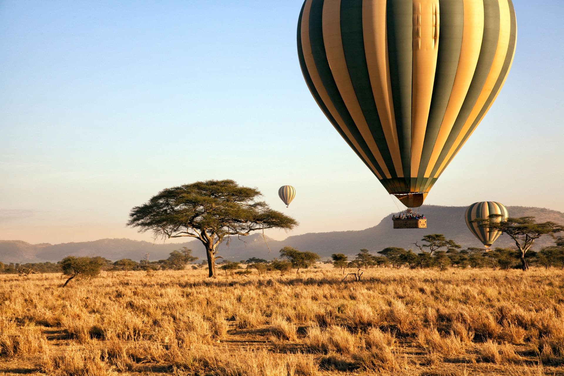 safari-beyond-kenya-serengeti