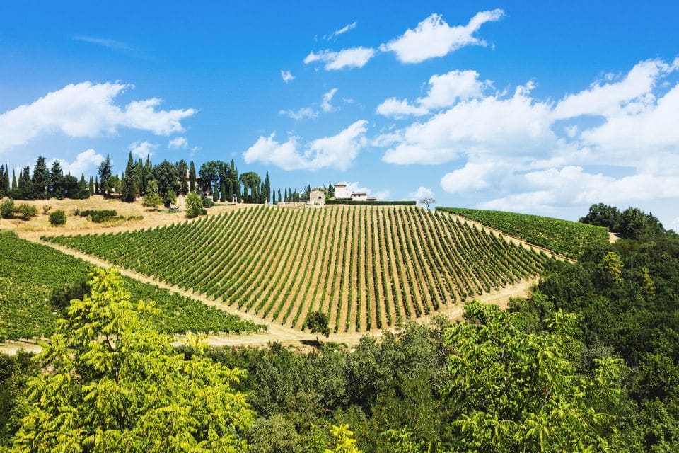 charmes-de-la-toscane-des-cinque-terre-gaiole-in-chianti