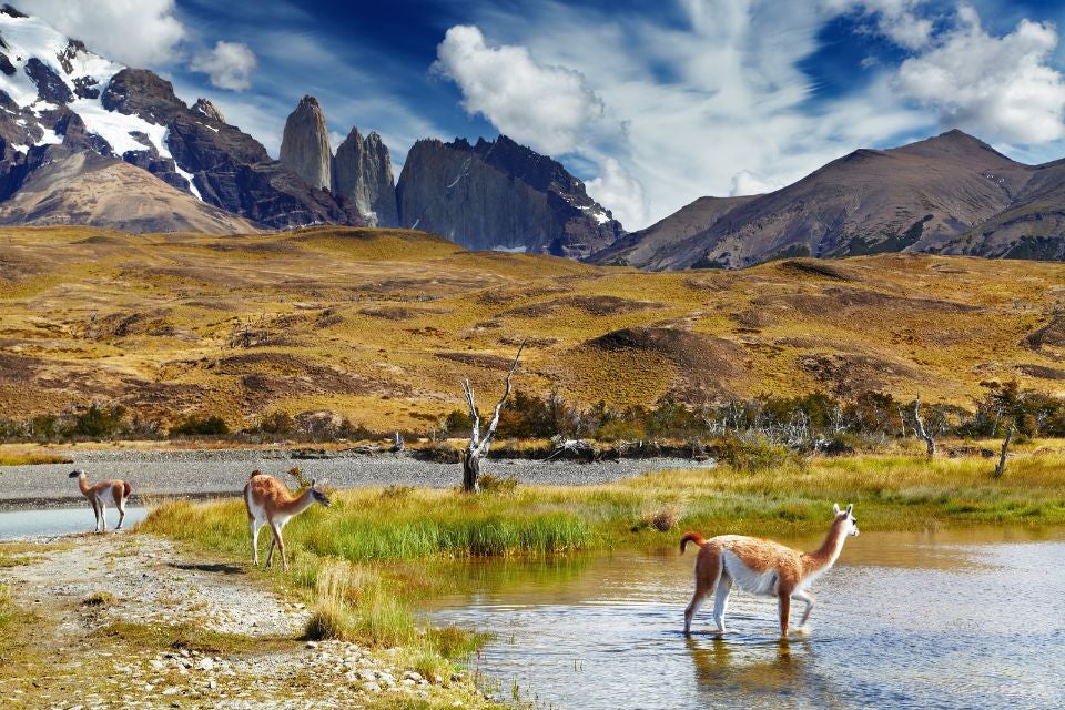 des-rues-de-la-ville-aux-sommets-de-la-patagonie-torres-del-paine-3