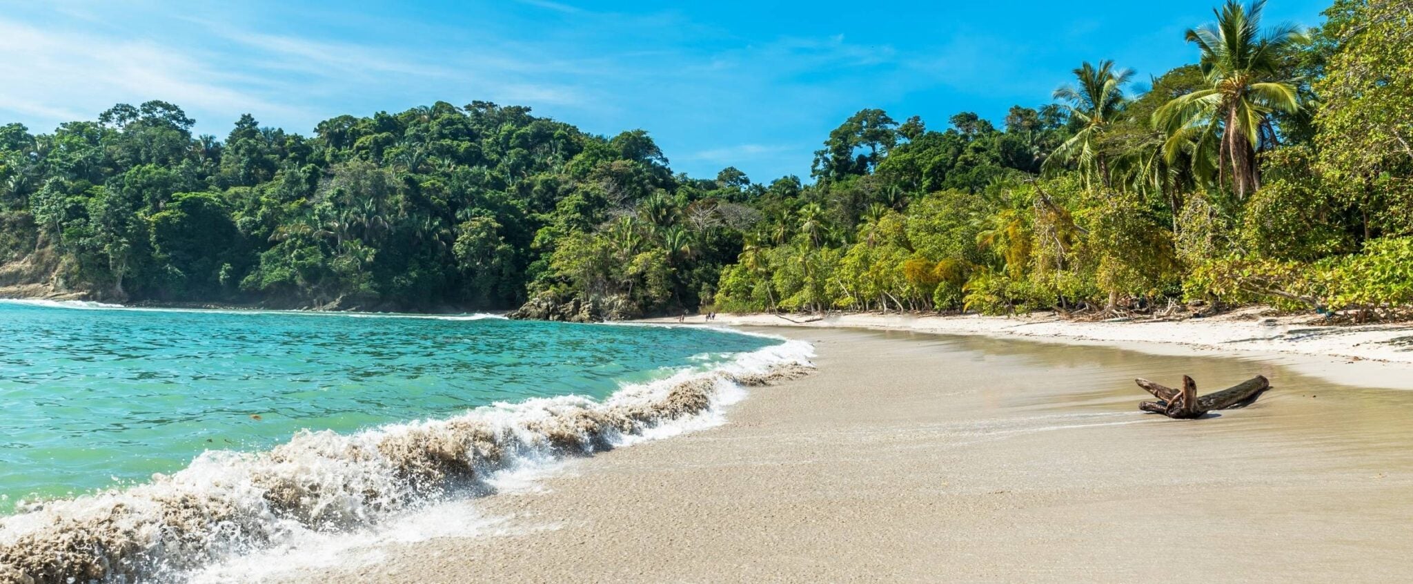 header-la-pura-vida