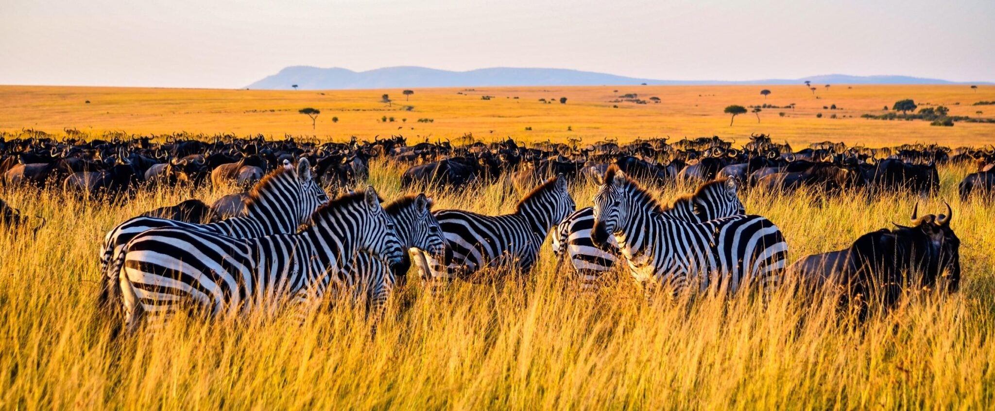 header-merveilleuse-tanzanie