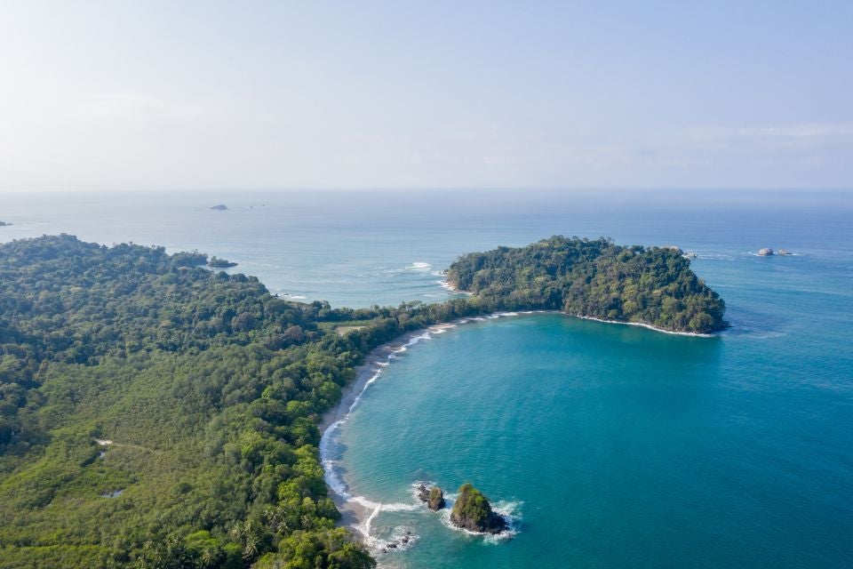 la-pura-vida-manuel-antonio
