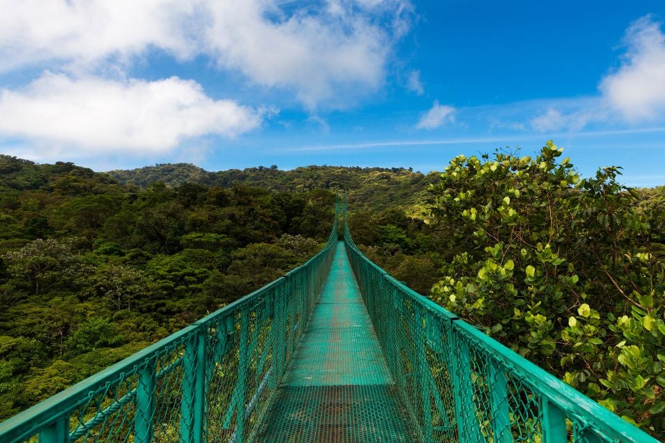la-pura-vida-monteverde-santa-elena-2