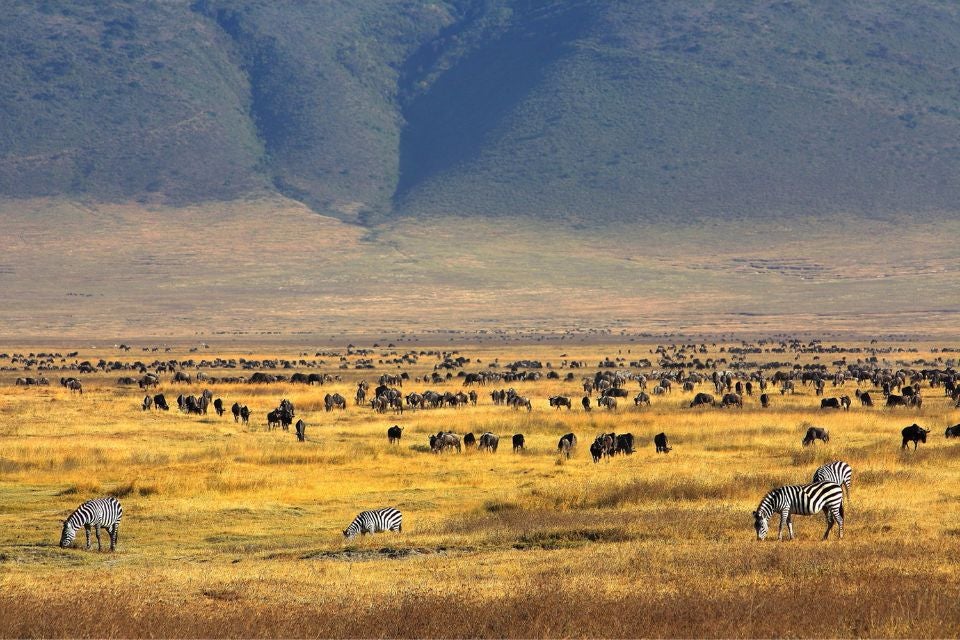 merveilleuse-tanzanie-ngorongoro