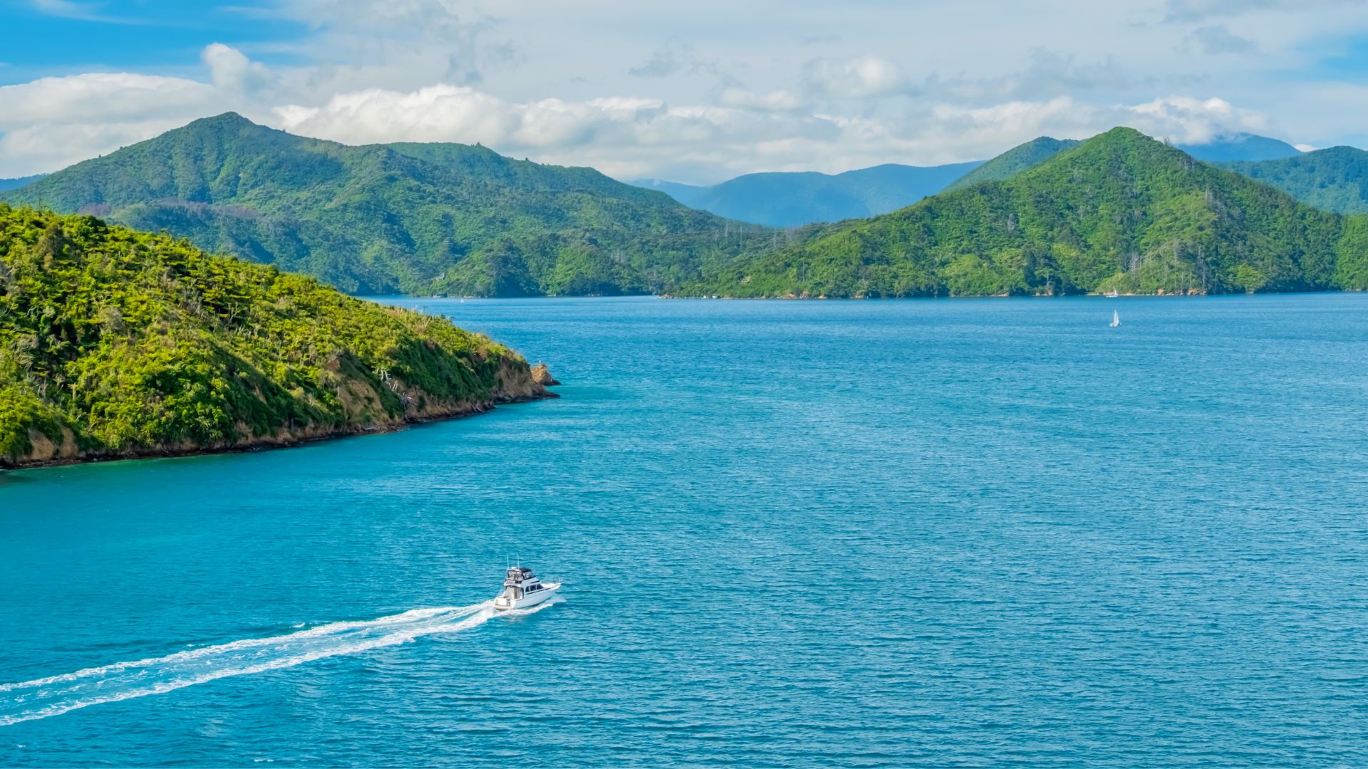 australie-et-nouvelle-zelande-marlborough-picton-nouvelle-zelande