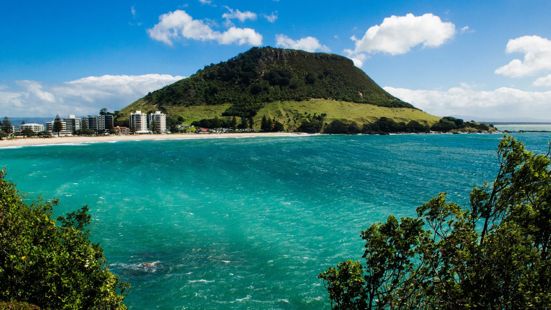 australie-et-nouvelle-zelande-tauranga-nouvelle-zelande