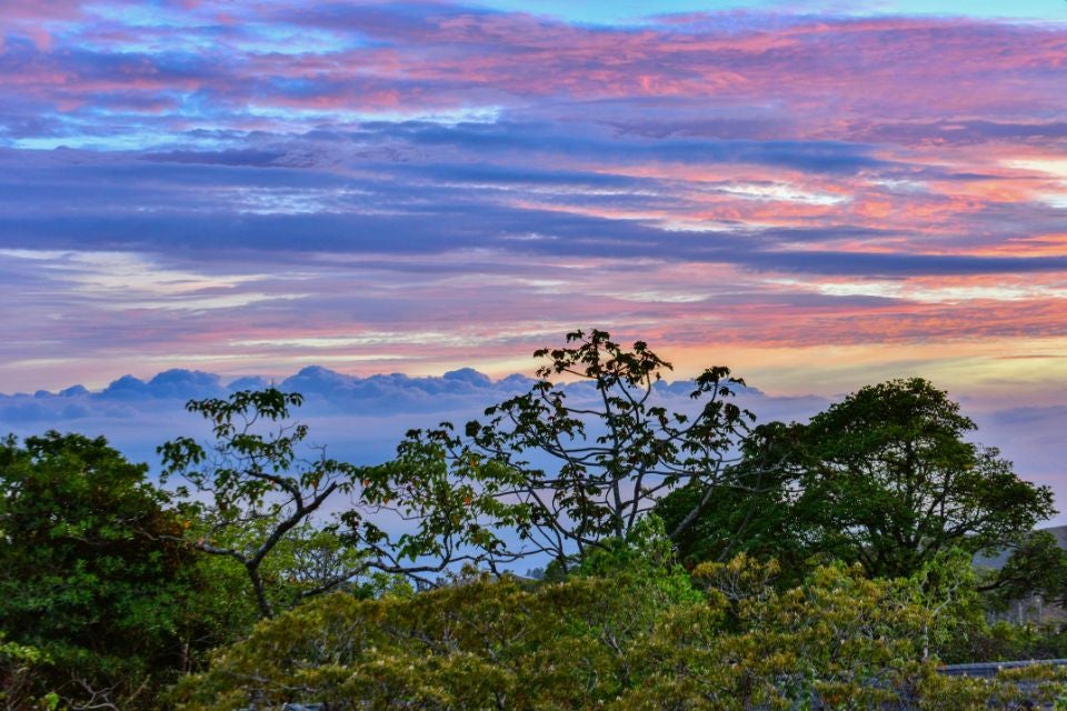 autotour-costa-rica-des-caraibes-au-pacifique-monteverde