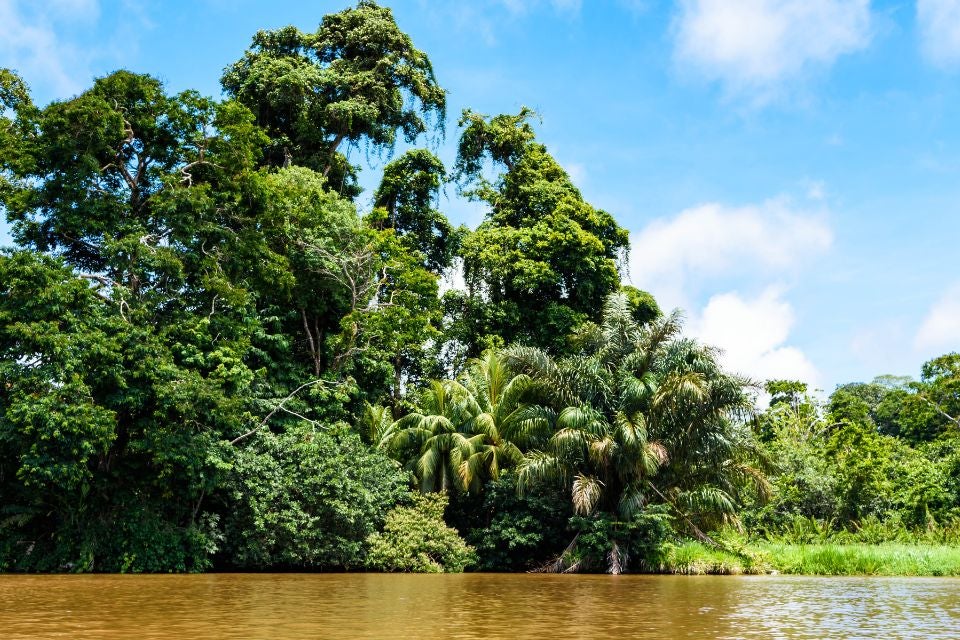 autotour-costa-rica-des-caraibes-au-pacifique-parc-national-tortuguero