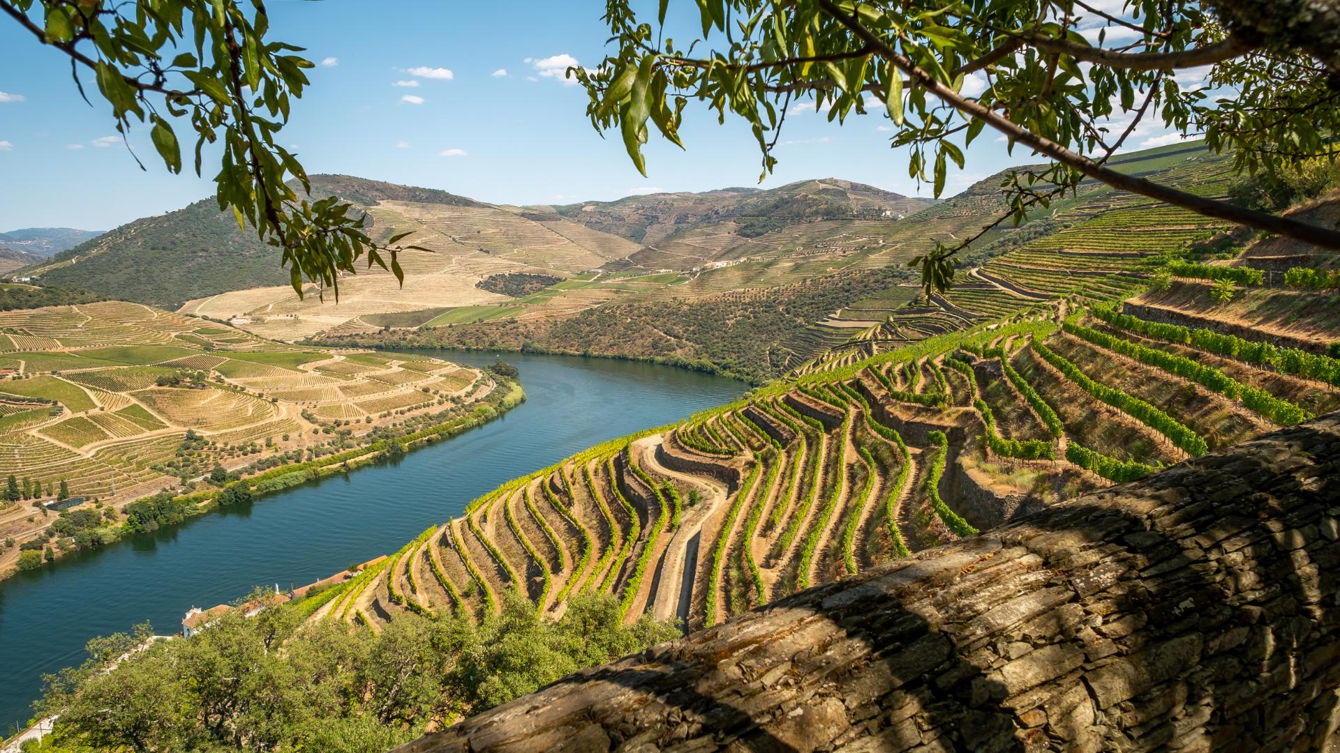 beautes-du-portugal-douro