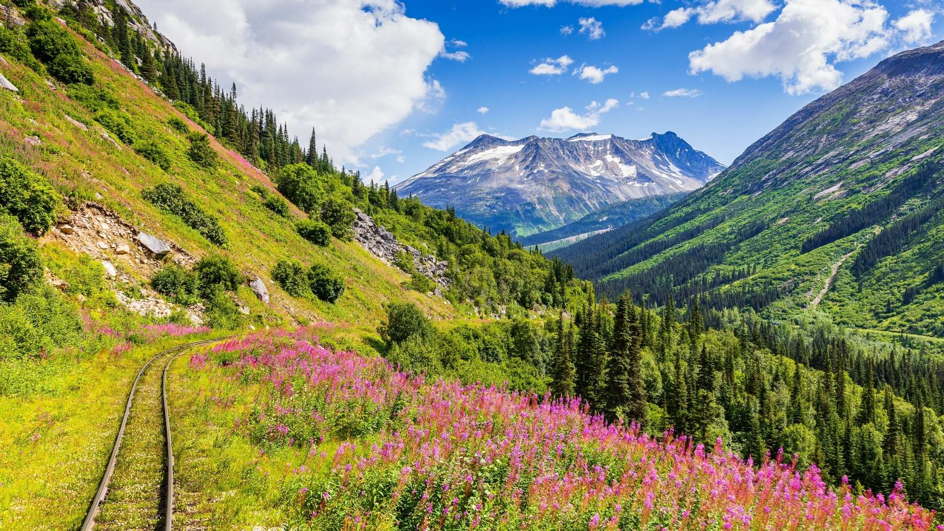 decouverte-de-lalaska-skagway