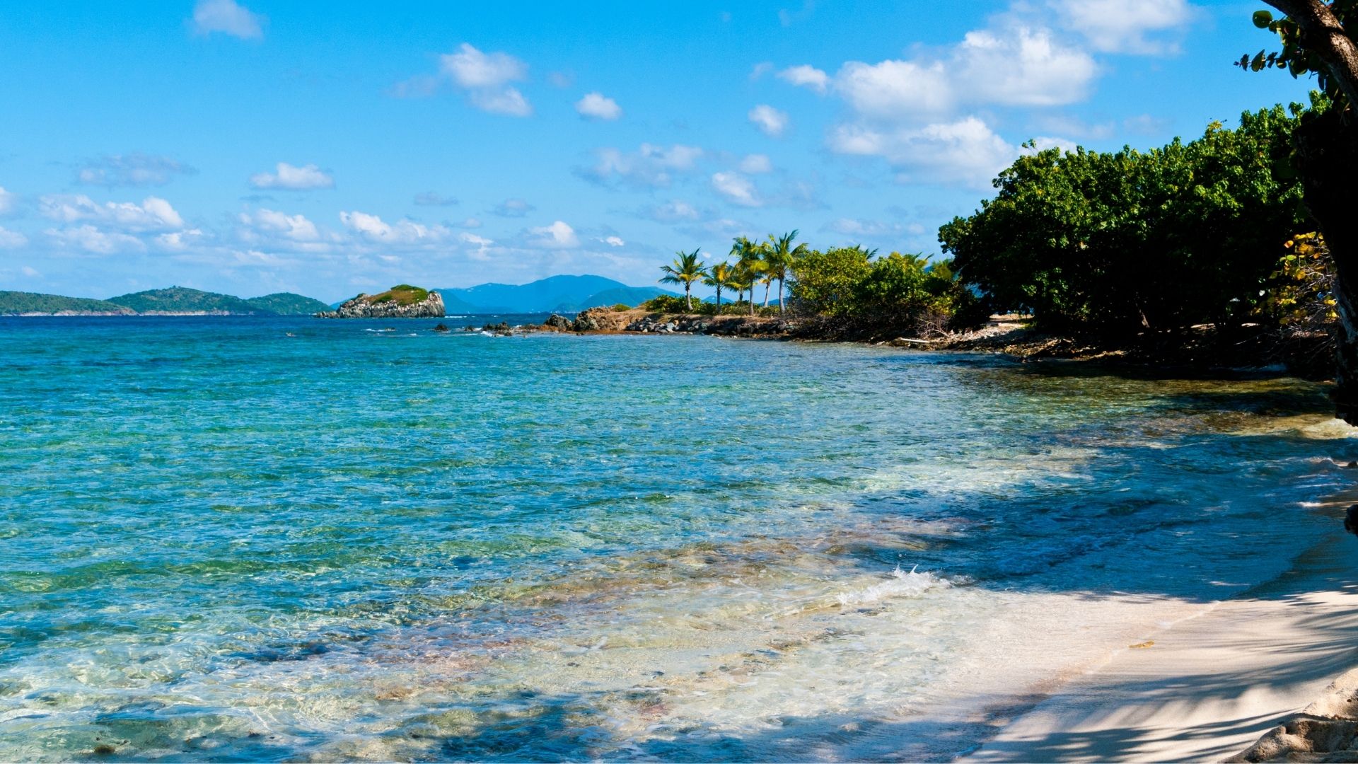 les-caraibes-du-sud-de-miami-header