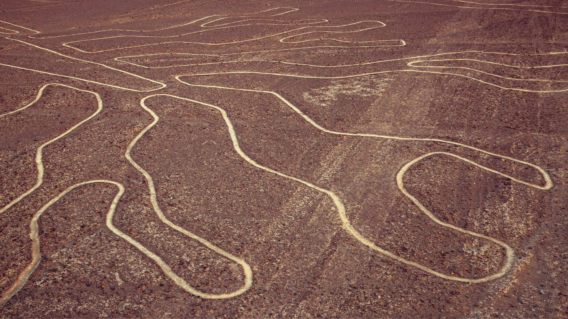 splendeurs-du-perou-lignes-de-nazca