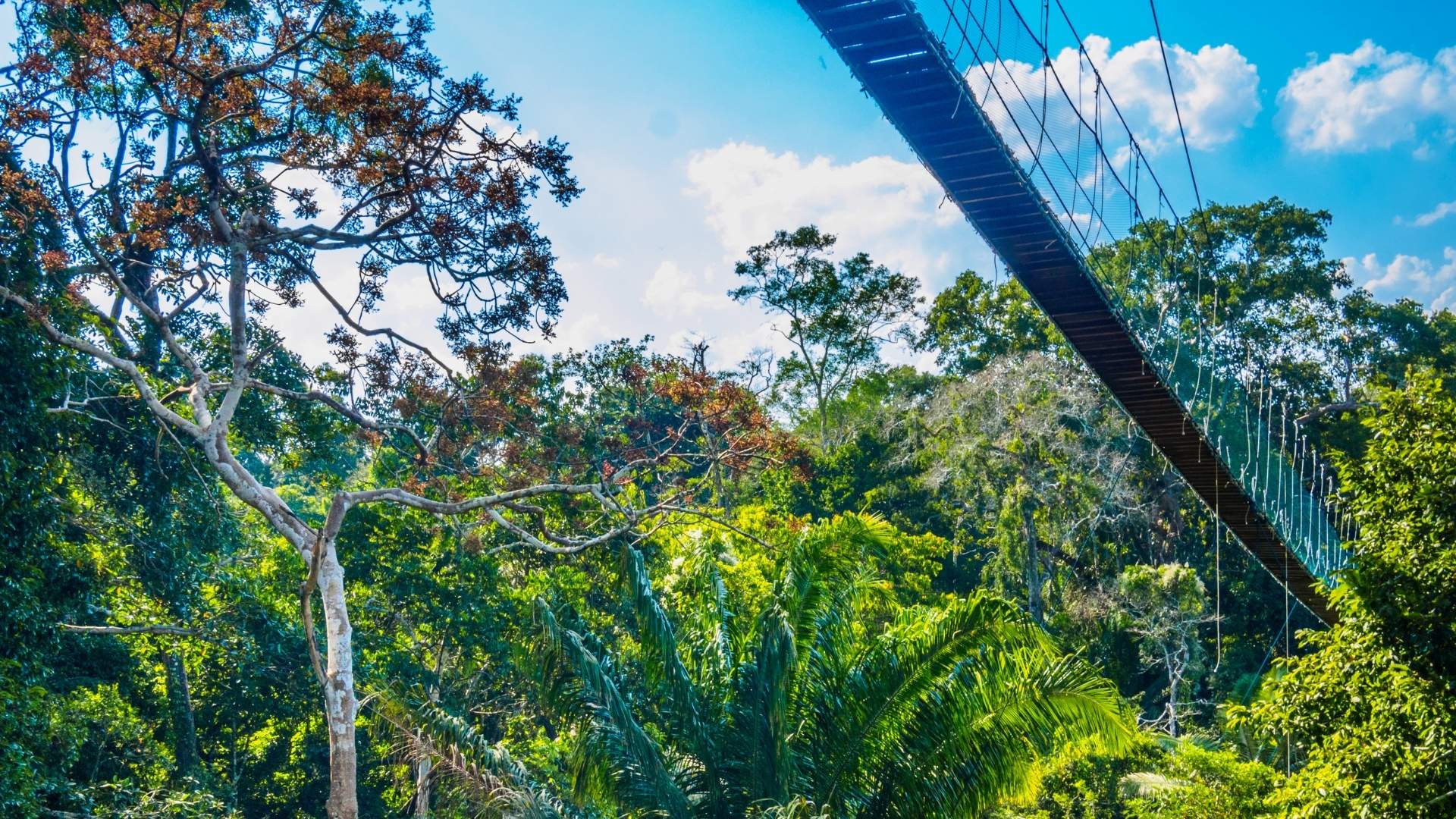 splendeurs-du-perou-puerto-maldonado