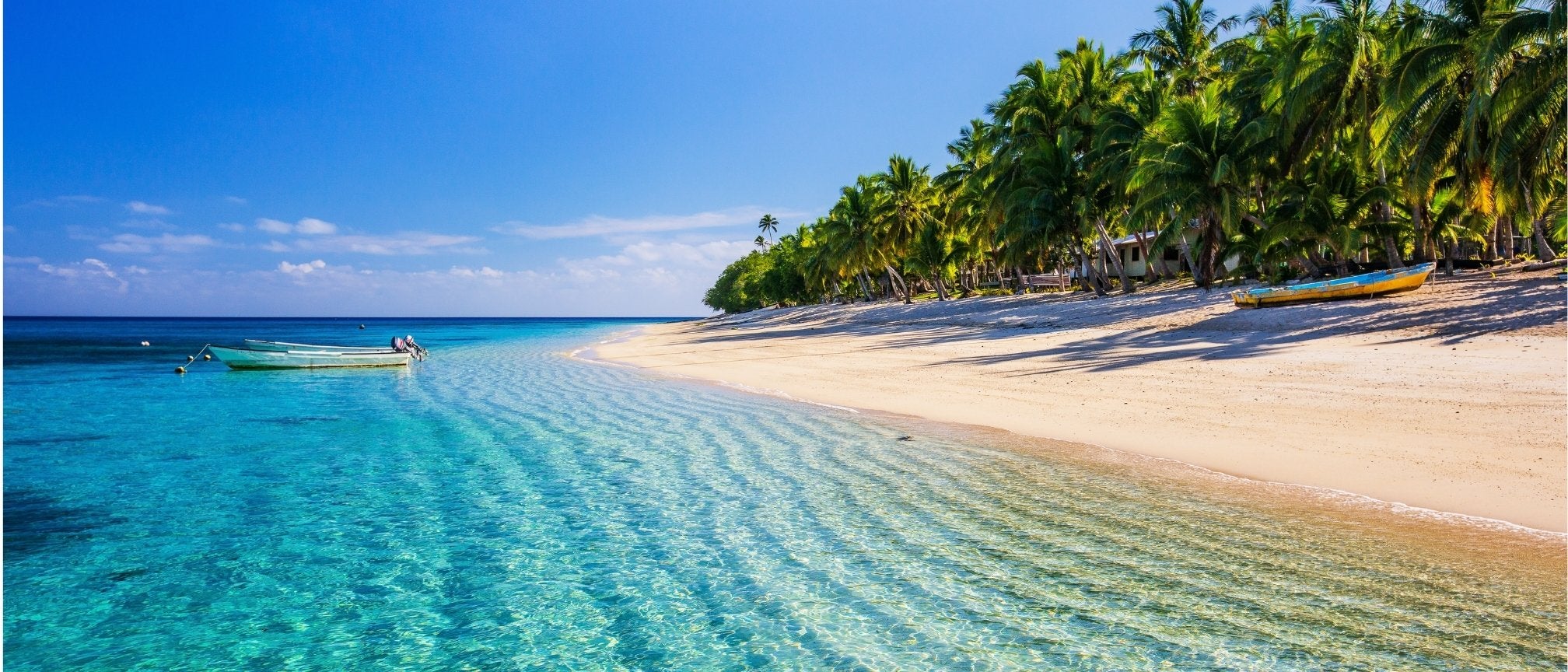 header-219-1-2