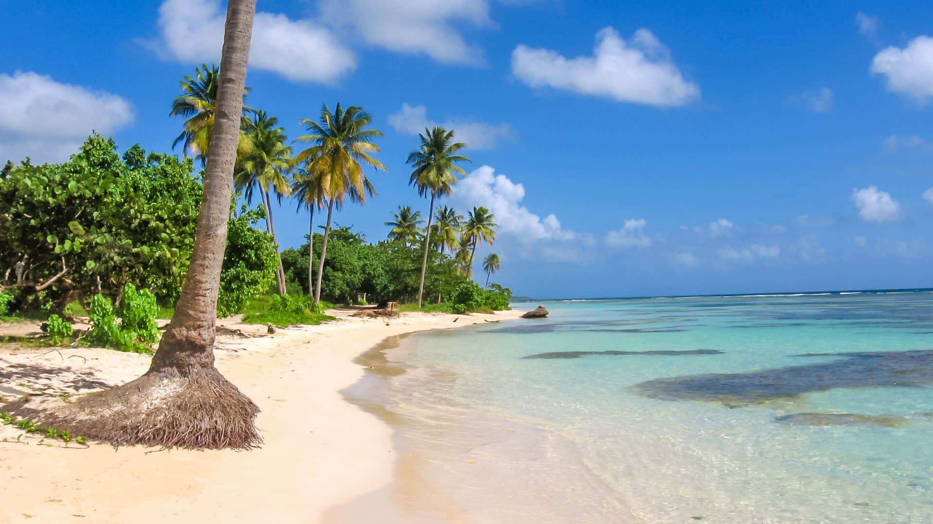 combine-caraibes-de-lest-et-guadeloupe-combine-caraibes-de-lest-et-guadeloupe-pointe-a-pitre-2