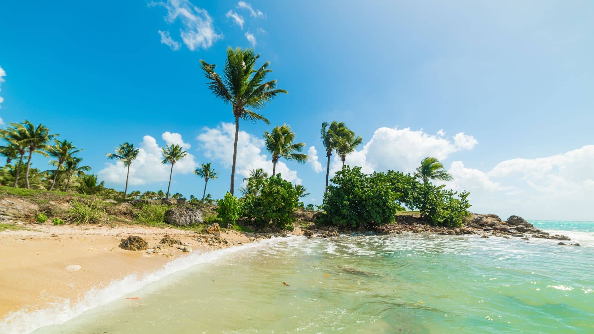 combine-caraibes-de-lest-et-guadeloupe-combine-caraibes-de-lest-et-guadeloupe-pointe-a-pitre