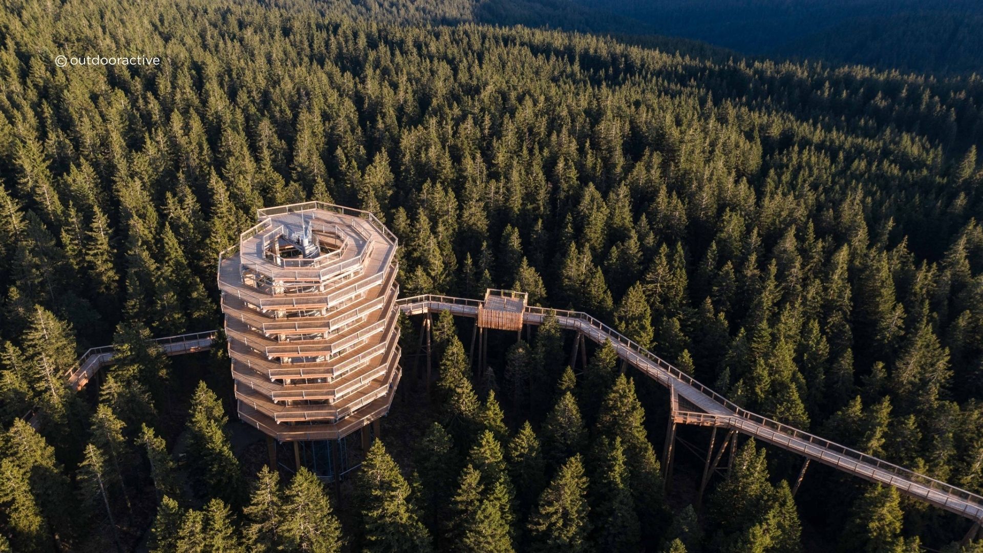 authentique-slovenie-sentier-suspendu-rogla-2