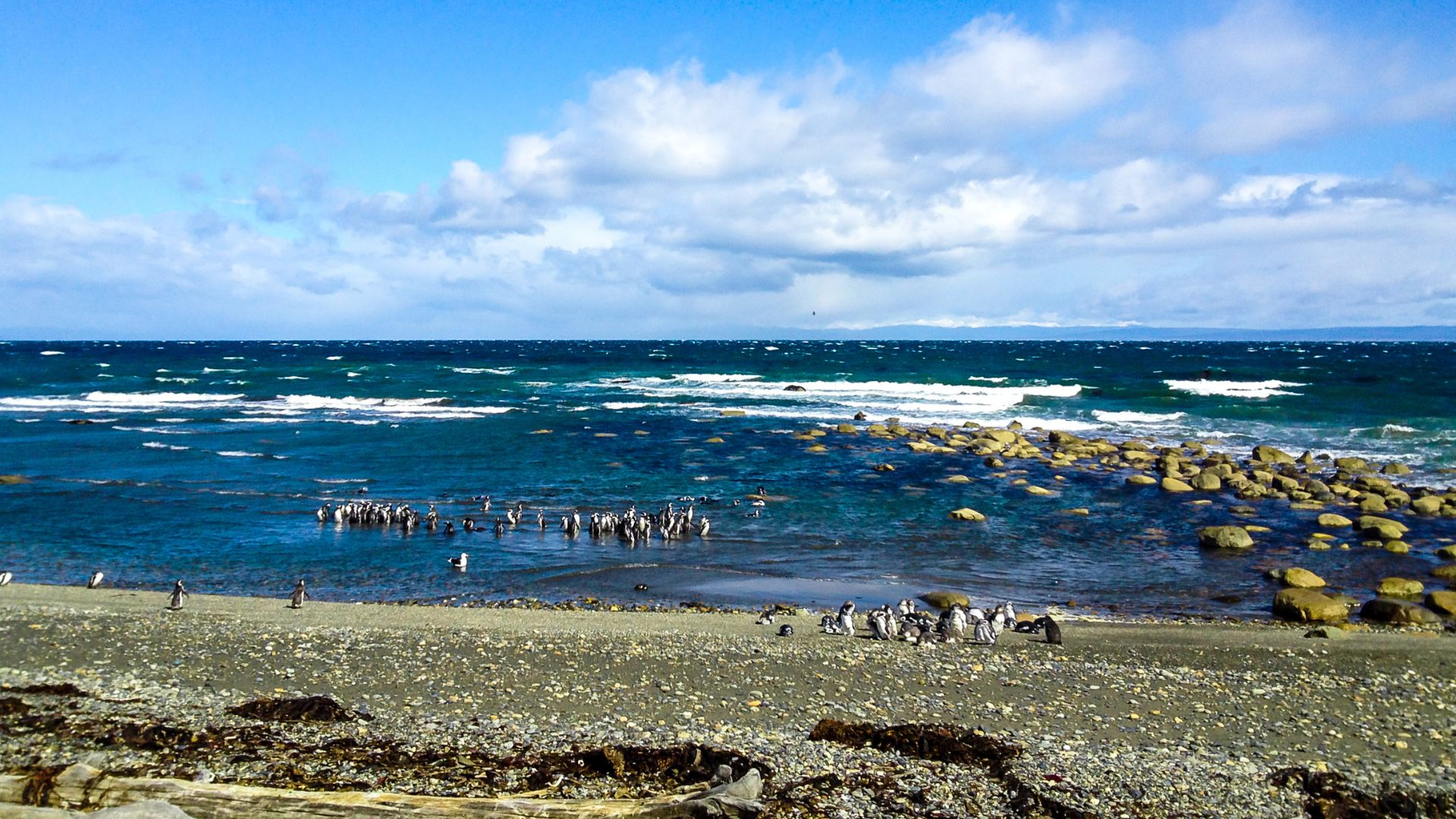 patagonie-et-australie-punta-arenas-chili