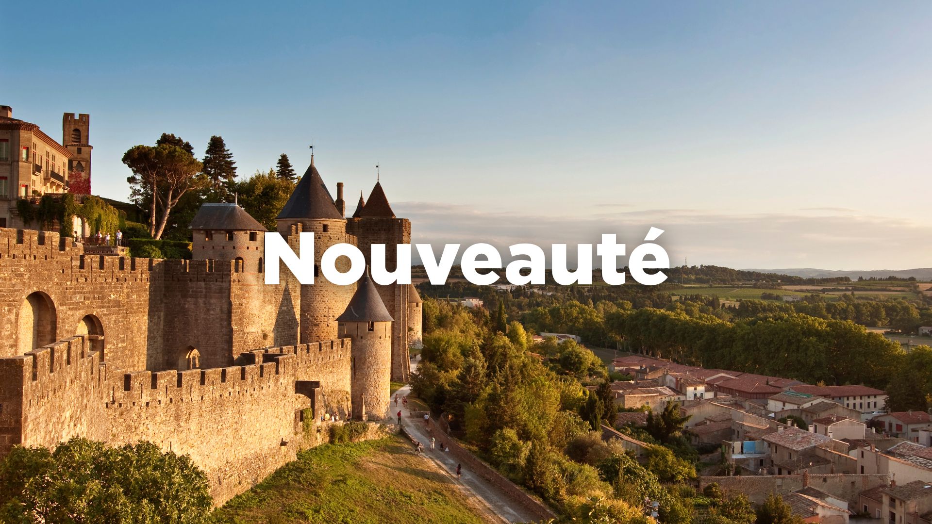 saveurs-du-sud-ouest-de-la-france-carcassonne-2