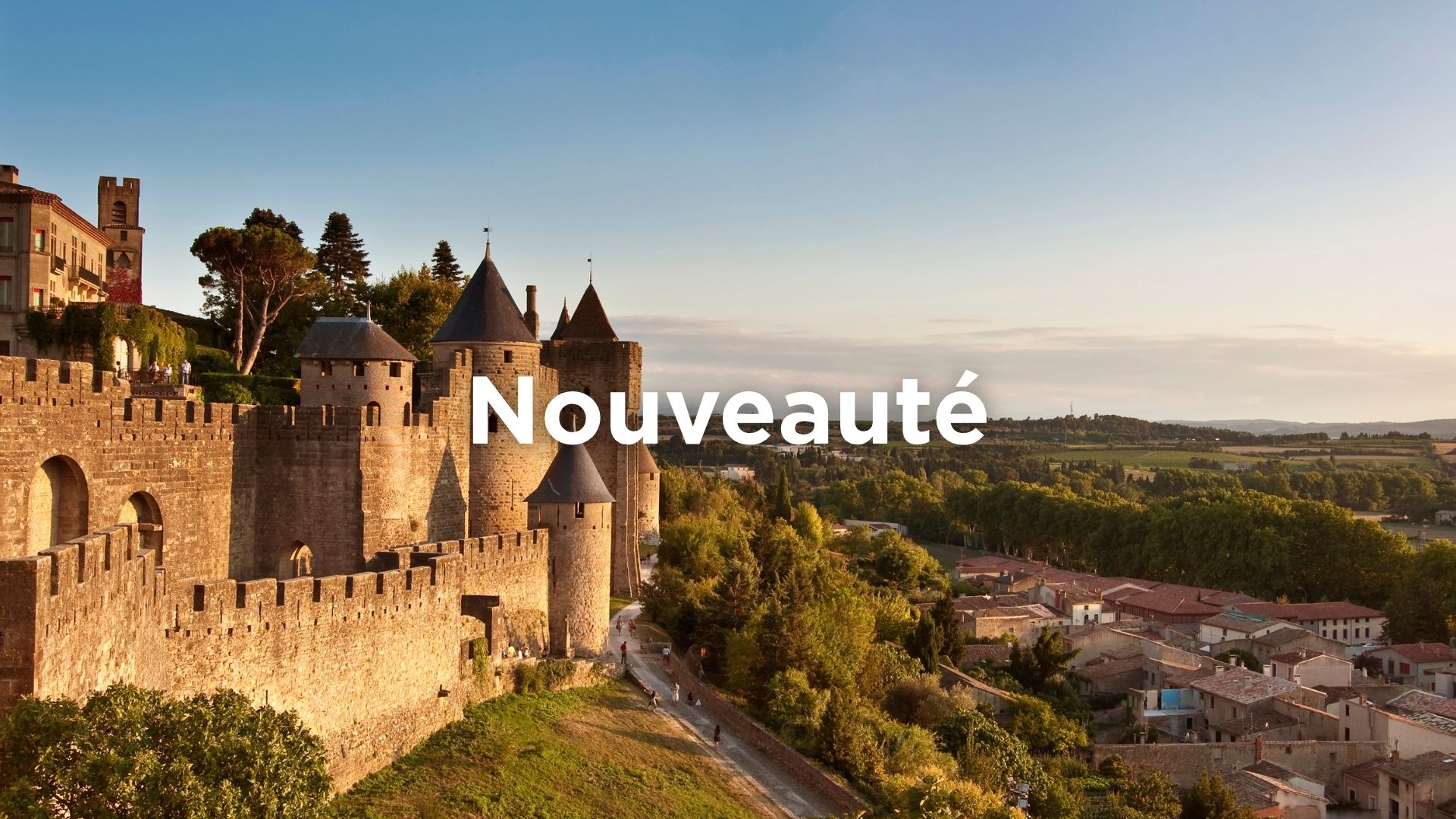 saveurs-du-sud-ouest-de-la-france-carcassonne-3