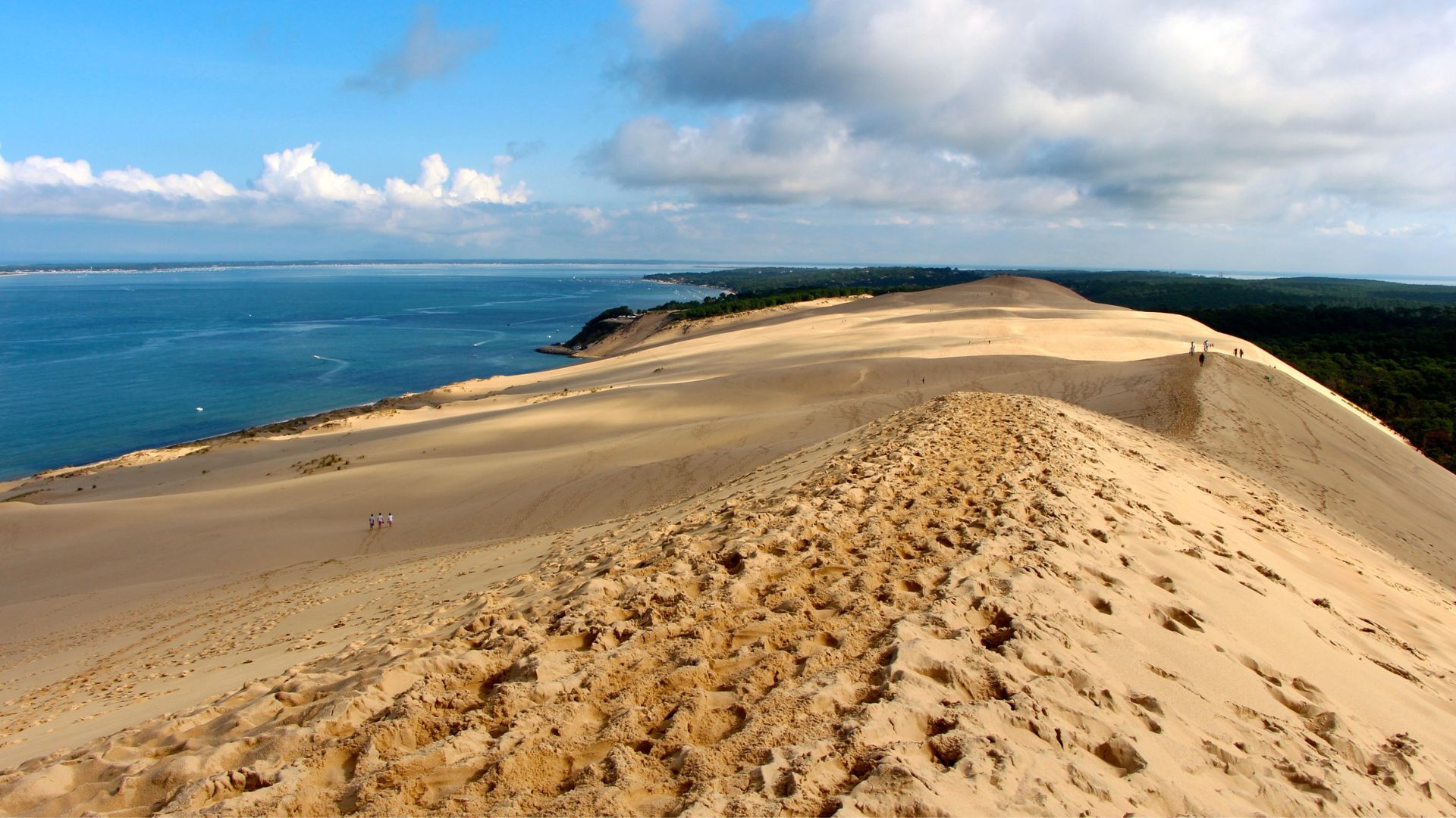 saveurs-du-sud-ouest-de-la-france-dune-du-pilat