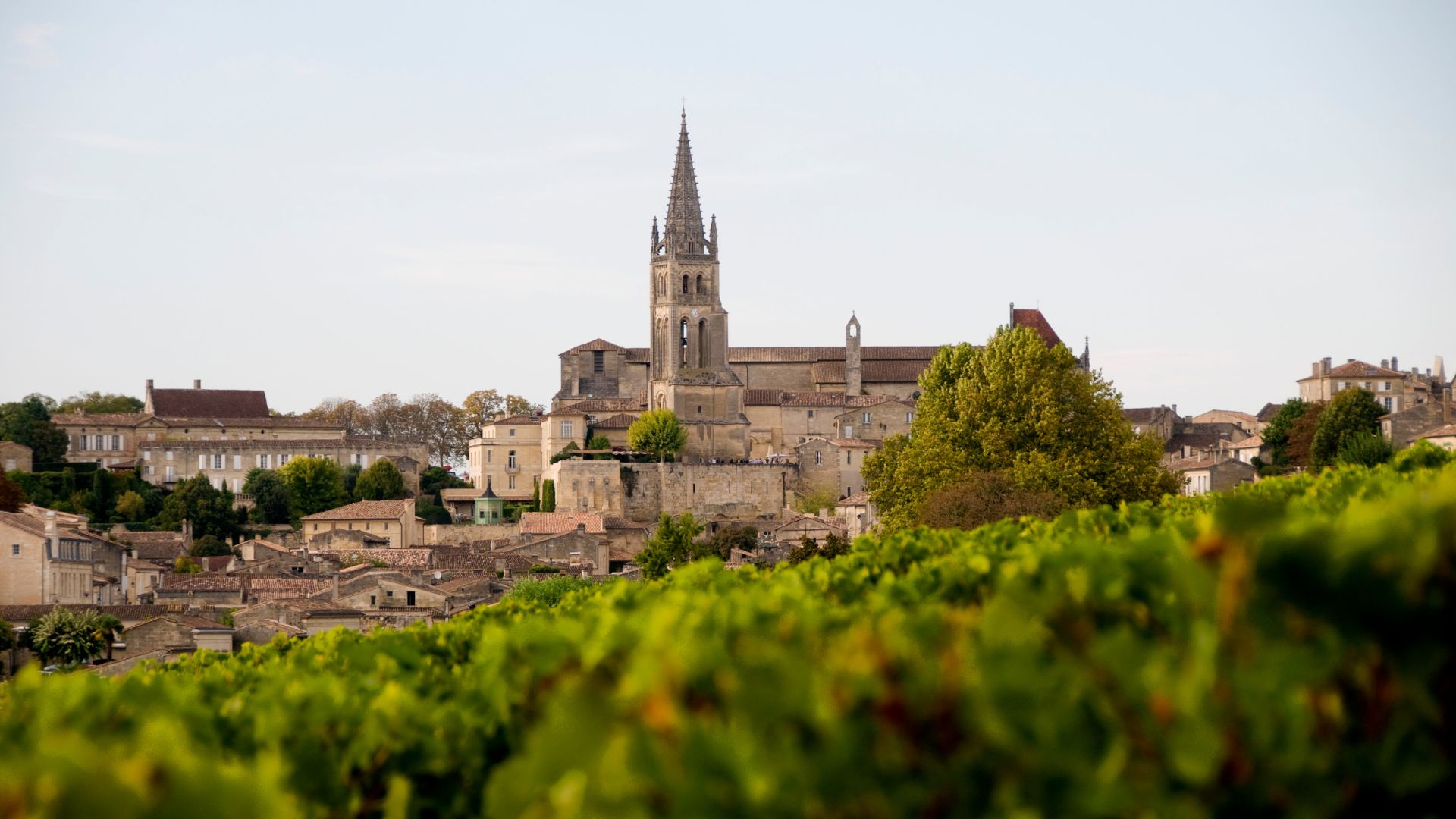 saveurs-du-sud-ouest-de-la-france-saint-emilion