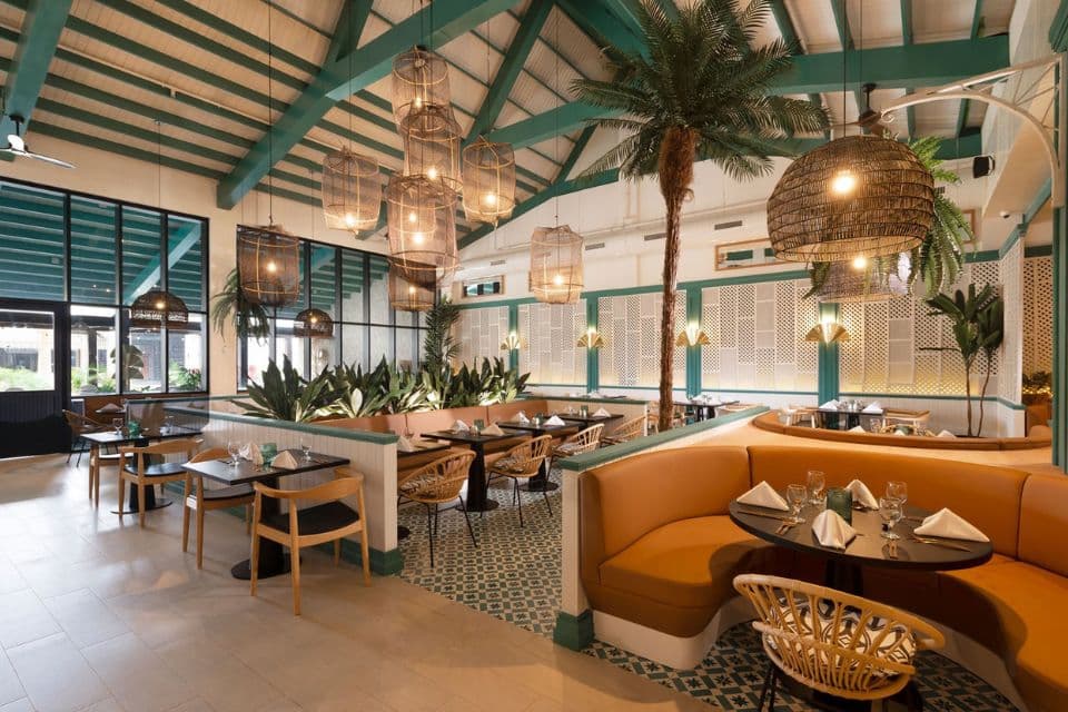 ocean-coral-spring-20