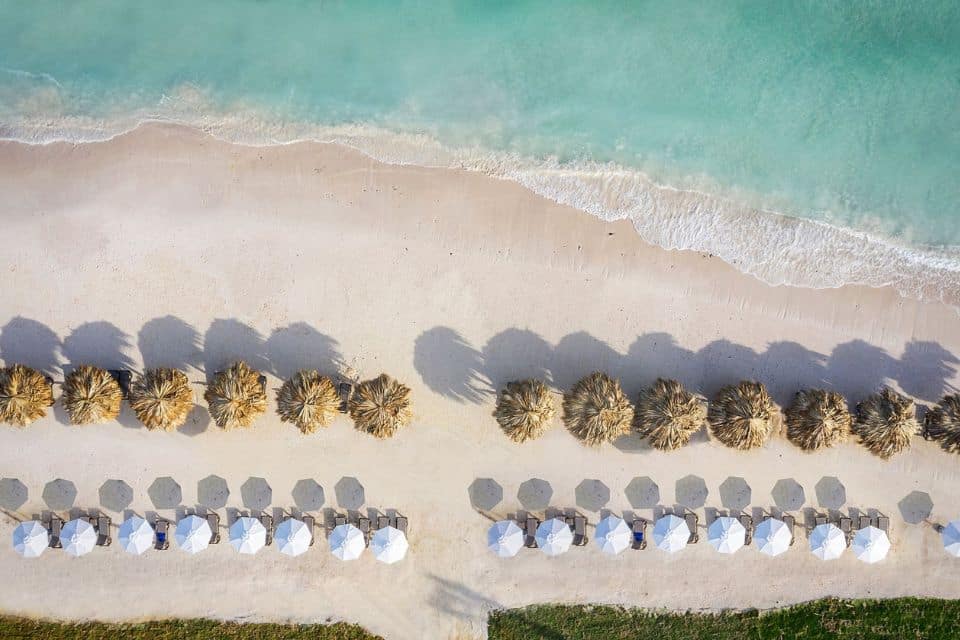 ocean-coral-spring-4