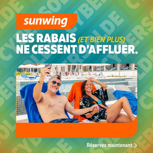 svi_cybermonday_ldv_500x500_fr-2