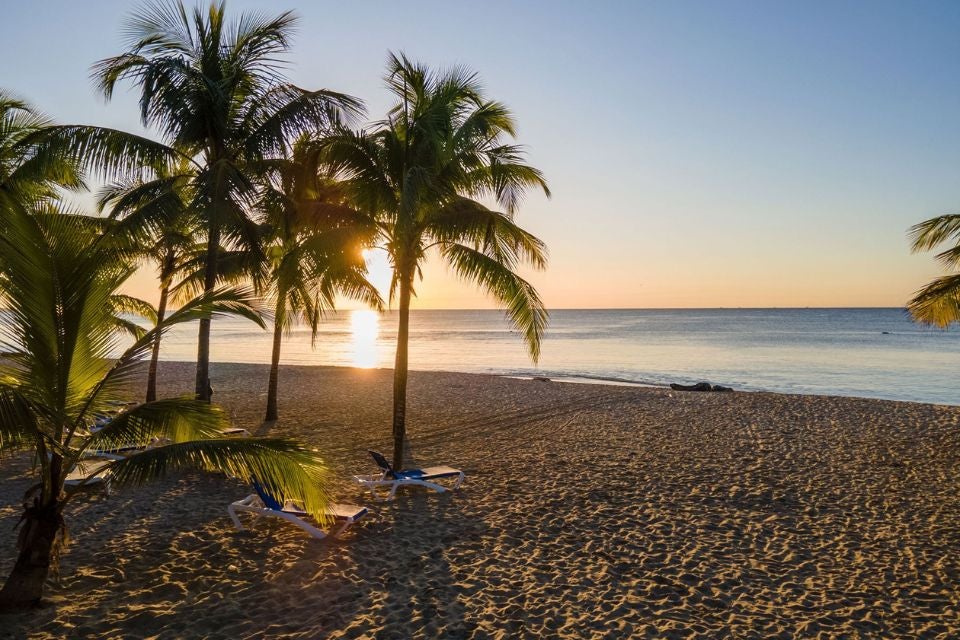 coral-costa-caribe-6