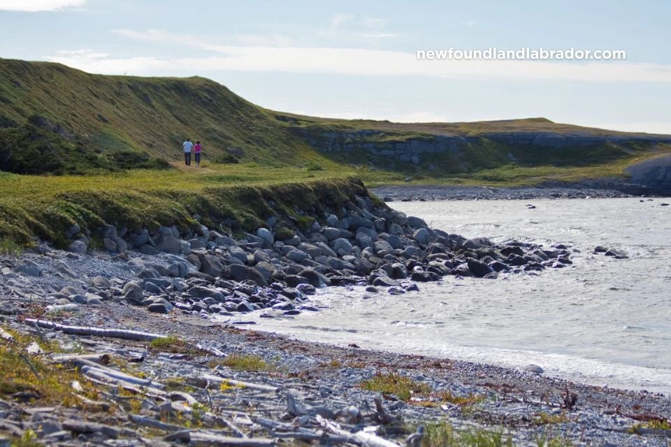 joyaux-de-terre-neuve-labrador-et-st-pierre-et-miquelon-port-au-choix