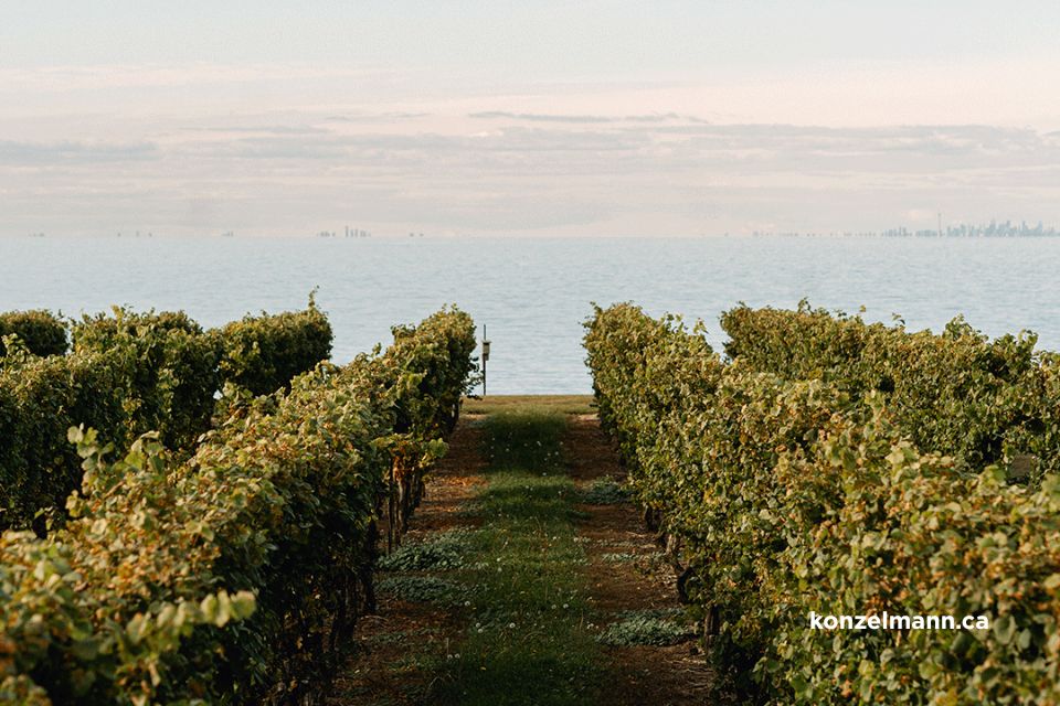les-vignobles-de-niagara-falls-vignoble-konzelmann
