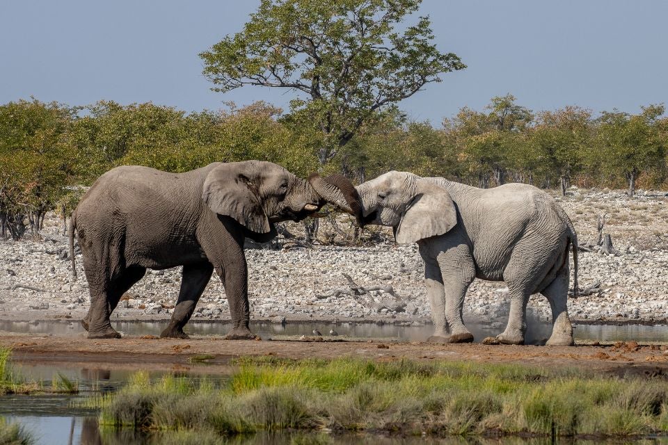 autotour-decouverte-de-la-namibie-6