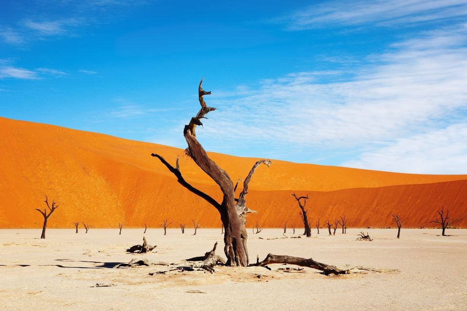 autotour-decouverte-de-la-namibie