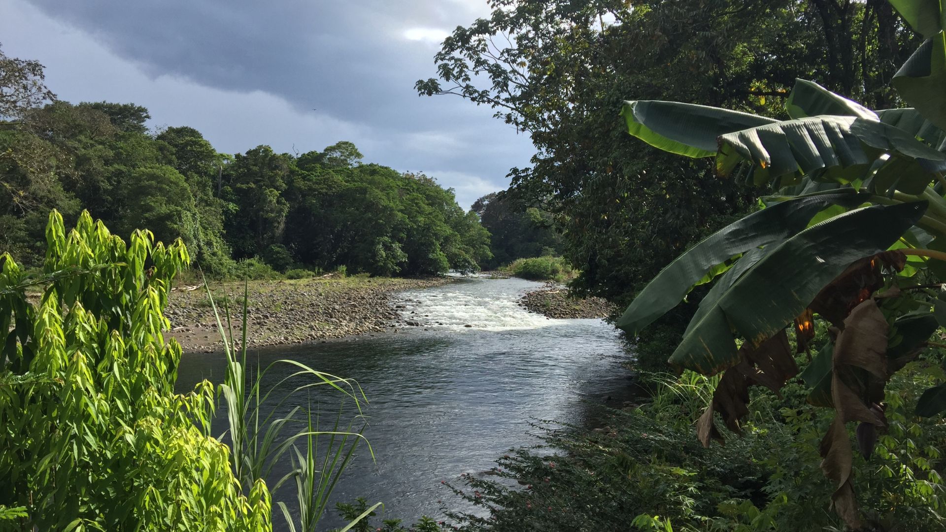pura-vida-au-costa-rica-riviere-sarapiqui