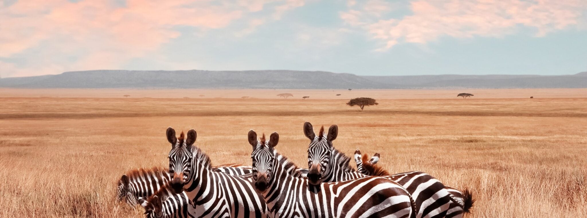 header-afrique-et-moyen-orient-voyages-laurier-du-vallon-1