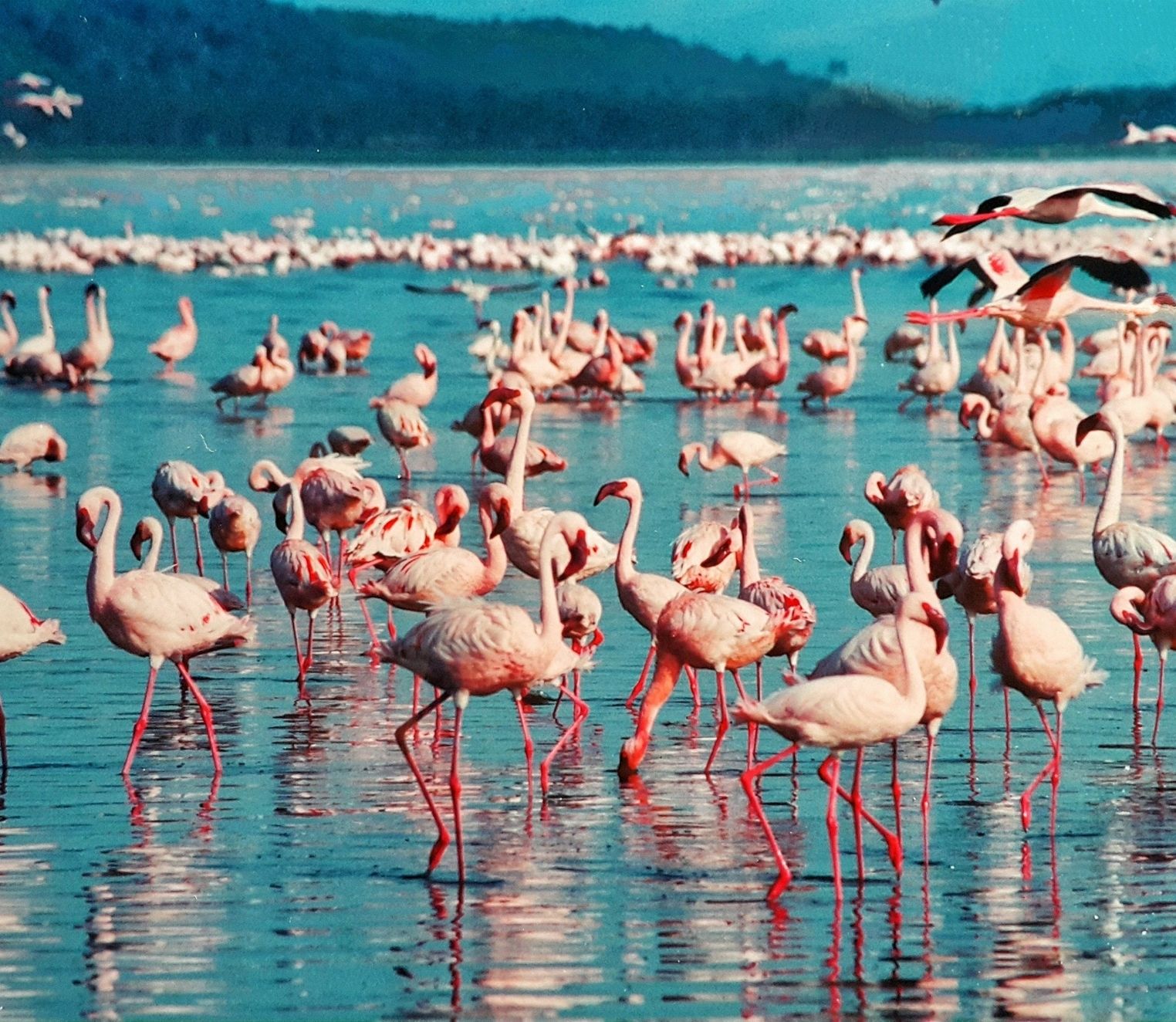 kenya-5