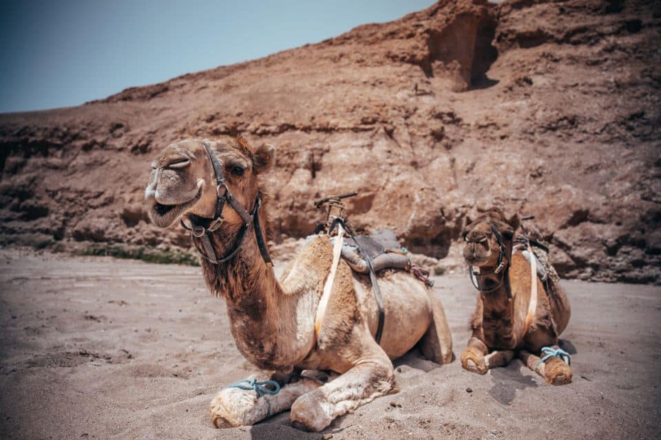forfait-golf-et-sejour-au-maroc-agafay
